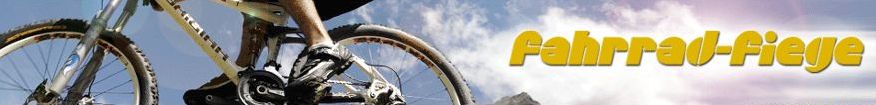 Fahrrad-fiege 2015
